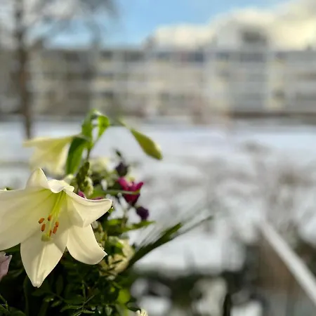 Appartamento 90 Sqm Apartment Next To A Pond! *